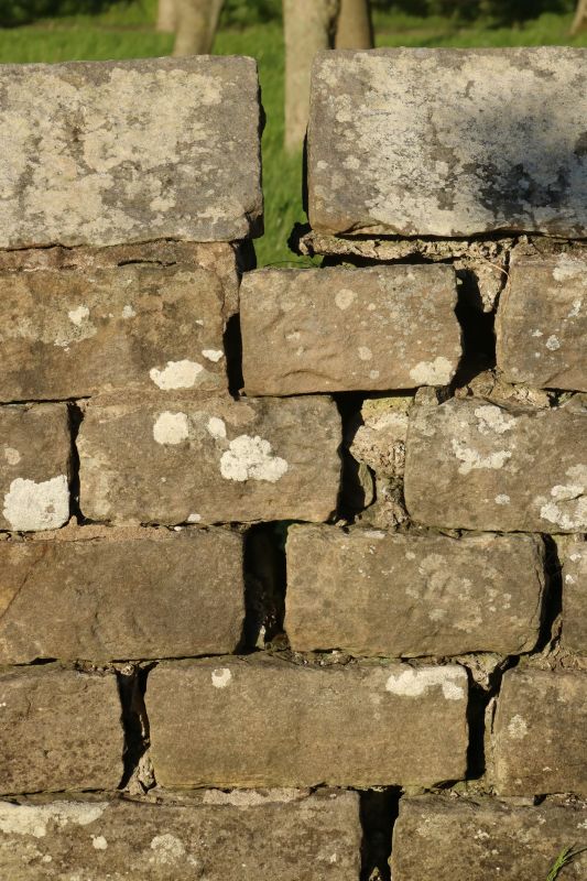 Stone Wall Repair in Wolverine, MI